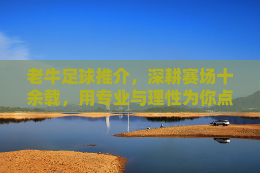 老牛足球推介，深耕赛场十余载，用专业与理性为你点亮足球之夜