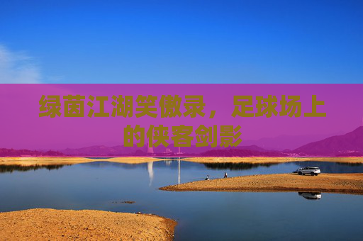 绿茵江湖笑傲录，足球场上的侠客剑影