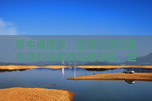 掌中绿茵梦，世嘉足球经理手游打造你的足球帝国，世嘉足球经理手游，掌中绿茵帝国梦