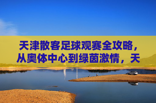 天津散客足球观赛全攻略，从奥体中心到绿茵激情，天津散客足球观赛全攻略，奥体中心点燃绿茵激情