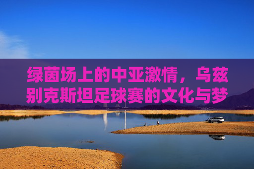 绿茵场上的中亚激情，乌兹别克斯坦足球赛的文化与梦想，绿茵中亚情，乌兹别克斯坦足球的文化与梦想