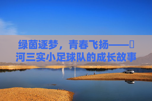 绿茵逐梦，青春飞扬——瀍河三实小足球队的成长故事