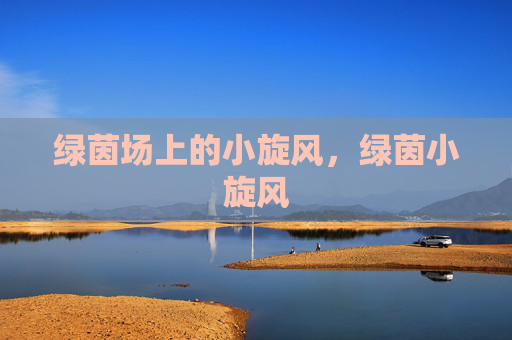 绿茵场上的小旋风，绿茵小旋风