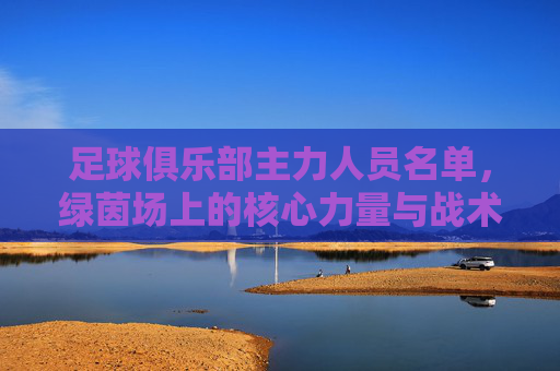 足球俱乐部主力人员名单，绿茵场上的核心力量与战术基石