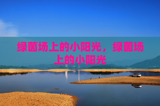 绿茵场上的小阳光，绿茵场上的小阳光