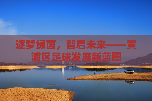逐梦绿茵，智启未来——黄浦区足球发展新蓝图