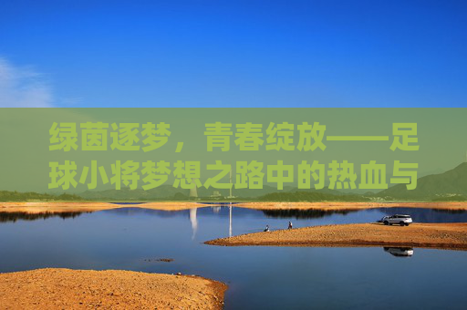 绿茵逐梦，青春绽放——足球小将梦想之路中的热血与成长，足球小将，绿茵逐梦，热血青春成长