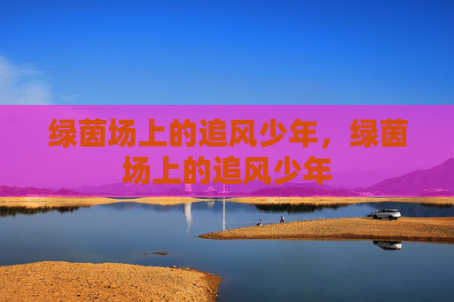 绿茵场上的追风少年,绿茵场上的追风少年 绿茵场上的追风少年,绿茵场上的追风少年