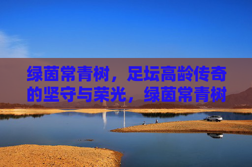 绿茵常青树，足坛高龄传奇的坚守与荣光，绿茵常青树，足坛高龄传奇的坚守与荣光