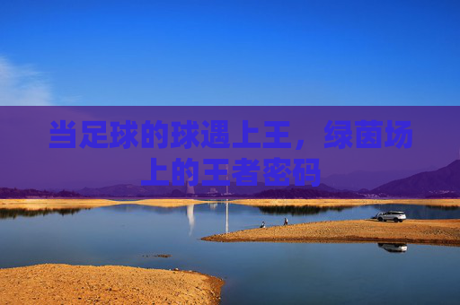 当足球的球遇上王,绿茵场上的王者密码 当足球的球遇上王,绿茵场上的王者密码