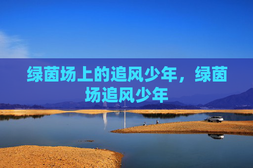 绿茵场上的追风少年，绿茵场追风少年