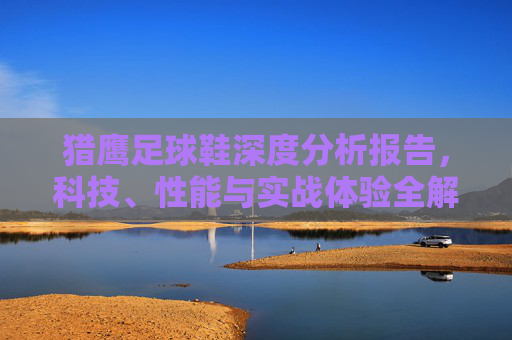 猎鹰足球鞋深度分析报告，科技、性能与实战体验全解析