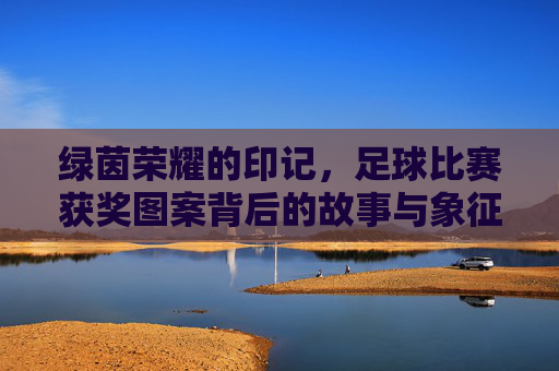 绿茵荣耀的印记，足球比赛获奖图案背后的故事与象征