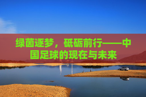 绿茵逐梦，砥砺前行——中国足球的现在与未来