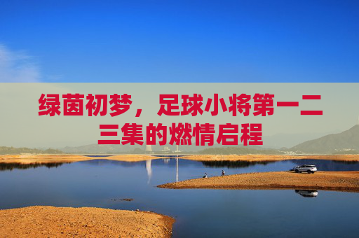 绿茵初梦，足球小将第一二三集的燃情启程