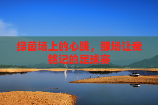 绿茵场上的心跳,那场让我铭记的足球赛 绿茵场上的心跳,那场让我铭记的足球赛