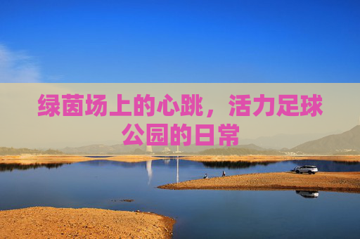 绿茵场上的心跳，活力足球公园的日常