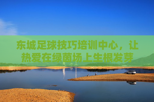 东城足球技巧培训中心，让热爱在绿茵场上生根发芽