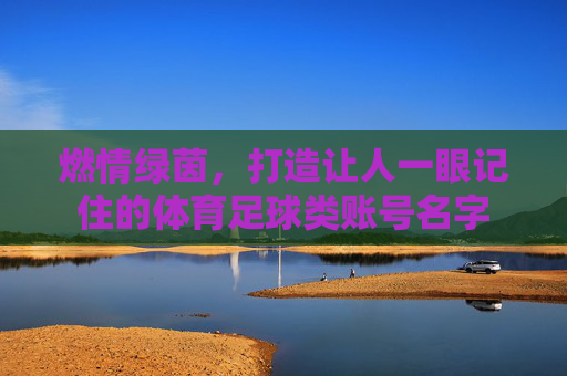 燃情绿茵,打造让人一眼记住的体育足球类账号名字 燃情绿茵,打造让人一眼记住的体育足球类账号名字