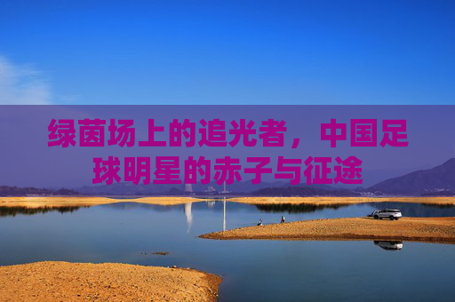绿茵场上的追光者，中国足球明星的赤子与征途