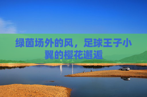 绿茵场外的风，足球王子小翼的樱花邂逅