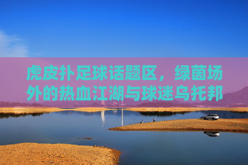 虎皮扑足球话题区，绿茵场外的热血江湖与球迷乌托邦