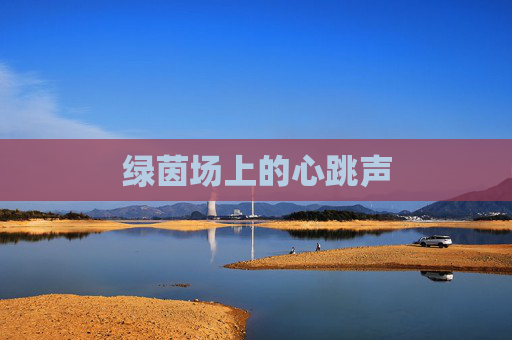 绿茵场上的心跳声