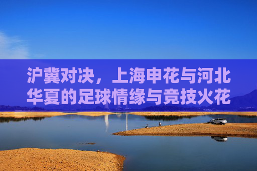沪冀对决，上海申花与河北华夏的足球情缘与竞技火花