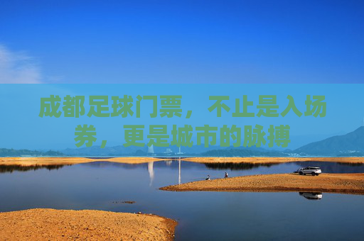 成都足球门票，不止是入场券，更是城市的脉搏