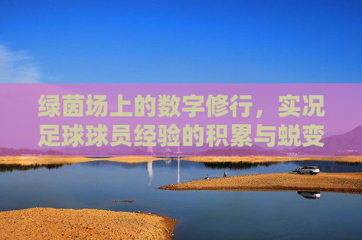 绿茵场上的数字修行，实况足球球员经验的积累与蜕变，绿茵数字修行，实况足球球员的经验蜕变