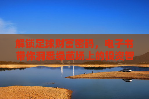 解锁足球财富密码，电子书带你洞悉绿茵场上的投资智慧，绿茵财富密码，电子书解锁足球投资智慧