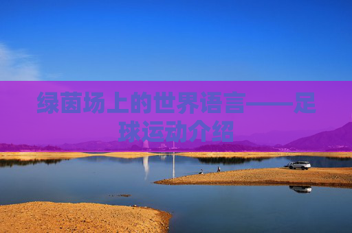 绿茵场上的世界语言——足球运动介绍 绿茵场上的世界语言——足球运动介绍
