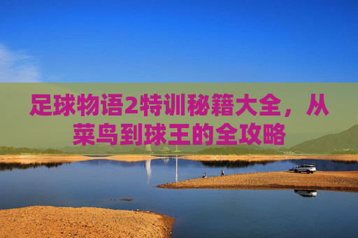 足球物语2特训秘籍大全，从菜鸟到球王的全攻略