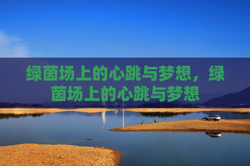 绿茵场上的心跳与梦想，绿茵场上的心跳与梦想
