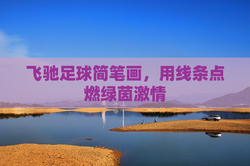 飞驰足球简笔画,用线条点燃绿茵激情 飞驰足球简笔画,用线条点燃绿茵激情