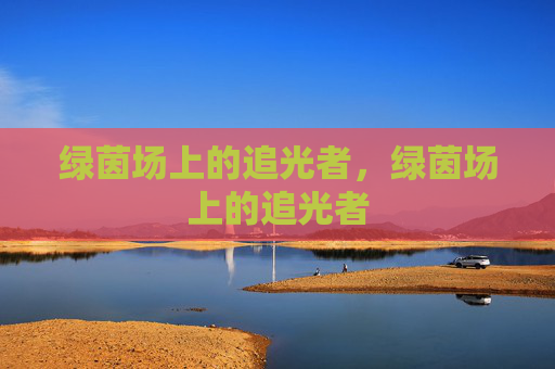 绿茵场上的追光者，绿茵场上的追光者