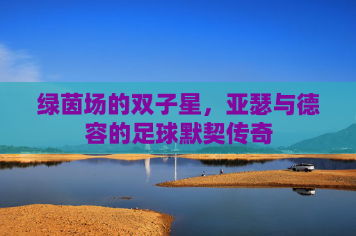 绿茵场的双子星，亚瑟与德容的足球默契传奇
