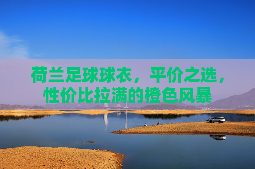 荷兰足球球衣,平价之选,性价比拉满的橙色风暴 荷兰足球球衣,平价之选,性价比拉满的橙色风暴