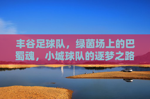 丰谷足球队，绿茵场上的巴蜀魂，小城球队的逐梦之路