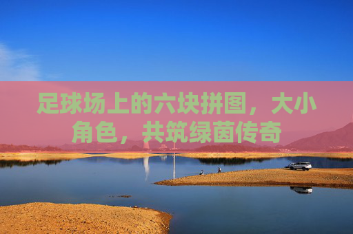 足球场上的六块拼图,大小角色,共筑绿茵传奇 足球场上的六块拼图,大小角色,共筑绿茵传奇