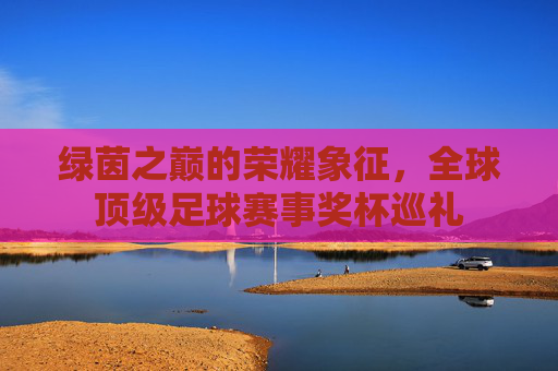 绿茵之巅的荣耀象征,全球顶级足球赛事奖杯巡礼 绿茵之巅的荣耀象征,全球顶级足球赛事奖杯巡礼