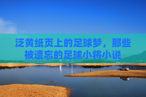 泛黄纸页上的足球梦，那些被遗忘的足球小将小说