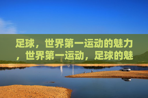 足球，世界第一运动的魅力，世界第一运动，足球的魅力
