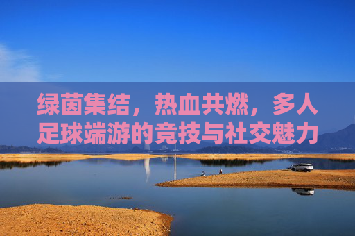 绿茵集结，热血共燃，多人足球端游的竞技与社交魅力