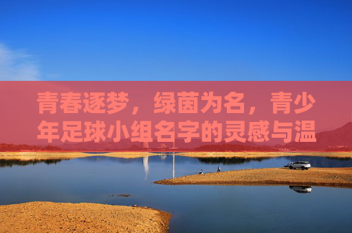 青春逐梦，绿茵为名，青少年足球小组名字的灵感与温度