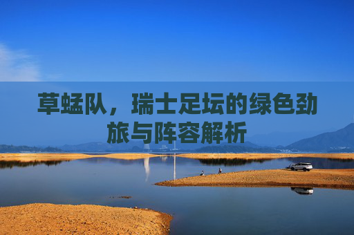 草蜢队，瑞士足坛的绿色劲旅与阵容解析