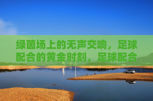 绿茵场上的无声交响，足球配合的黄金时刻，足球配合的黄金交响时刻