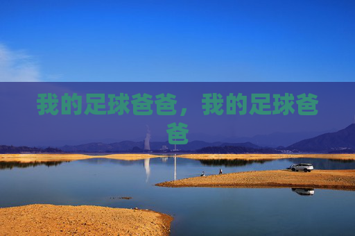 我的足球爸爸，我的足球爸爸