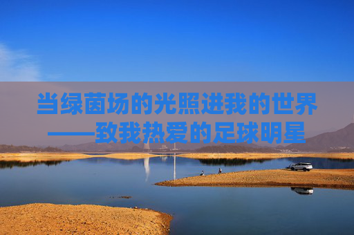 当绿茵场的光照进我的世界——致我热爱的足球明星