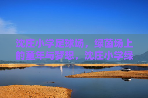 沈庄小学足球场，绿茵场上的童年与梦想，沈庄小学绿茵场，童年与梦想